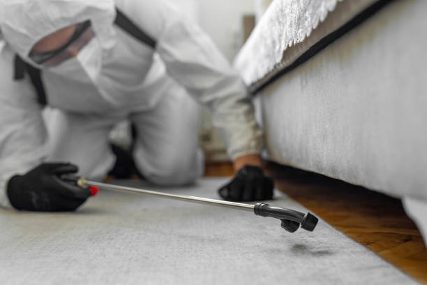 Professional Bed Bug Control technician working in Bristol County County, MA